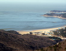 Recommended Incheon Trekking Trip - Easy Trails for Beginners-