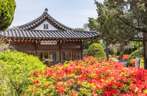 [Recommended Tour Course] A Day Trip in Incheon to Wow Your Parents with Stunning Photos