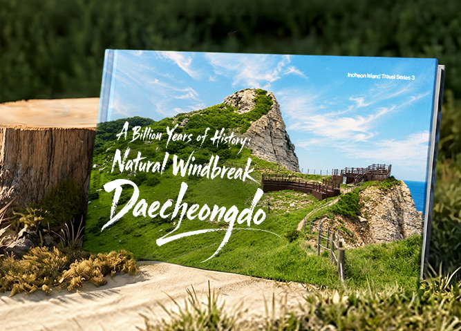 Island Travel Course in Incheon | A Billion Years of History: Daecheongdo Island, a Natural Windbreak